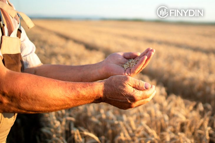 sector agrícola en México 2025