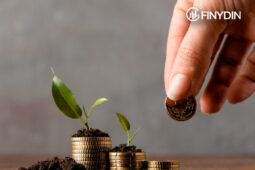 Cómo empezar a invertir en CETES si nunca has invertido en nada